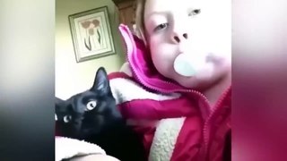 Funniest Animals Video - Best Cats  and Dogs Videos