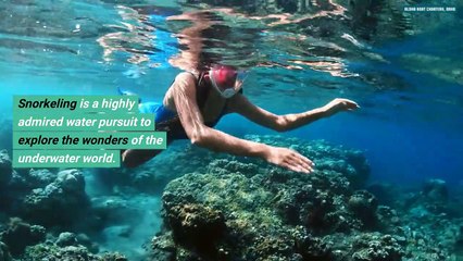 An Exclusive Knowledge On Guided Snorkeling Tour