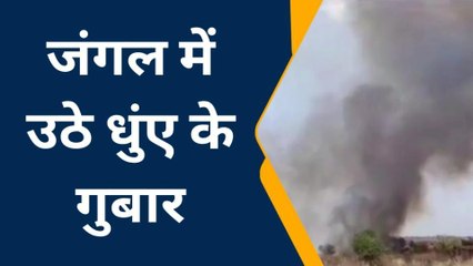 झालावाड़ : जंगल में लगी भीषण आग, सबकुछ जलकर हो गया स्वाहा, जानिए कैसे ?