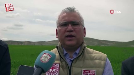 Yağışlarla birlikte bozkırda umutlar yeşerdi