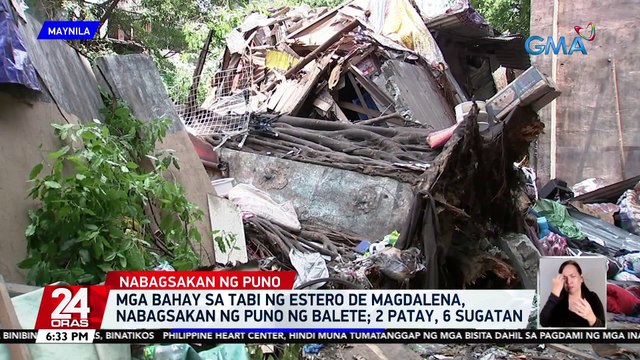 Mga bahay sa tabi ng Estero de Magdalena, nabagsakan ng puno ng Balete; 2 patay, 6 sugatan | 24 Oras