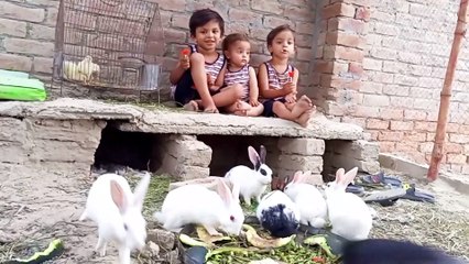 today Three mischievous kids  with cute rabbit bunnies and cute chicks