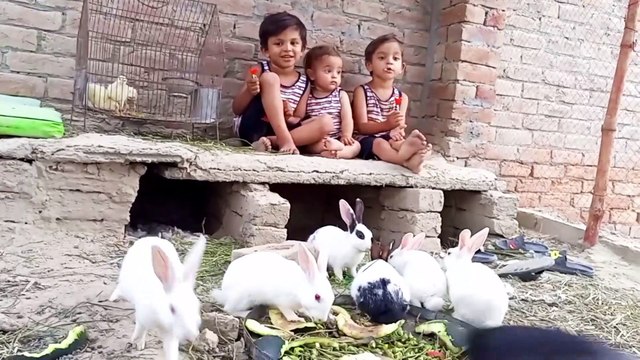 today Three mischievous kids with cute rabbit bunnies and cute chicks