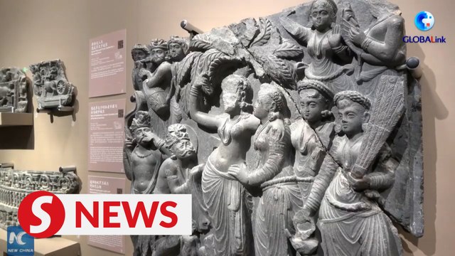 Chinese scholars help preserve Silk Road heritage