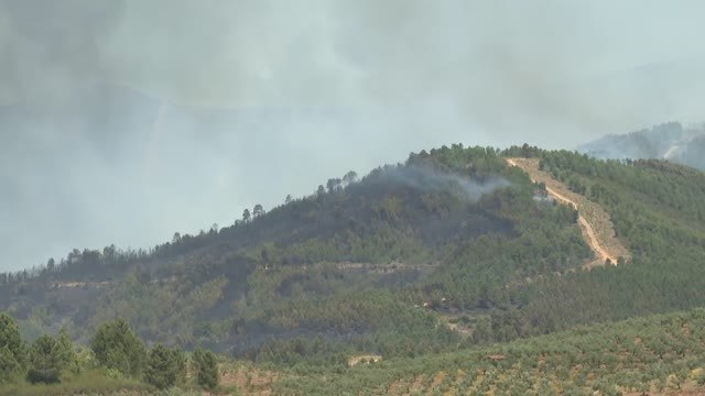 El incendio forestal de Pinofranqueado, en Cáceres, amenaza varios nucleos de población