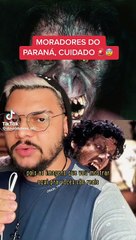 Tiktoker divulga vídeos de 'lobisomem' que teria sido visto no Dom Pedro II, em Umuarama