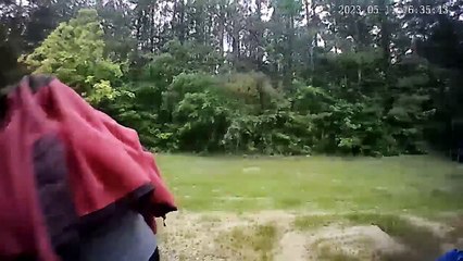 La foudre frappe les arbres d'arrière-cour à Collins