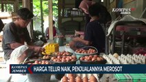 Harga Telur Naik, Peternak Malah Buntung, Penjualan Menurun