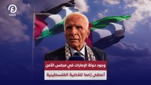 وجود دولة الإمارات في مجلس الأمن أعطى زخمًا للقضية الفلسطينية