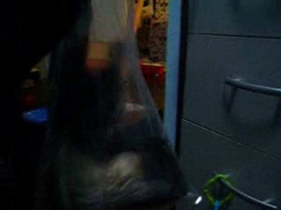 Dans le sac plastique