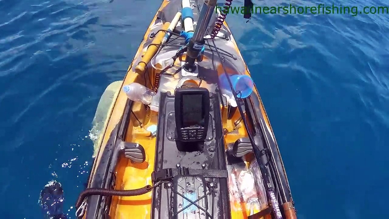 Requin vs kayak (Hawaï)