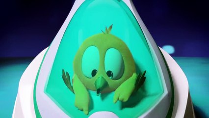 Where's Chicky- Funny Chicky 2020 - RODEO - Chicky Cartoon in English for Kids