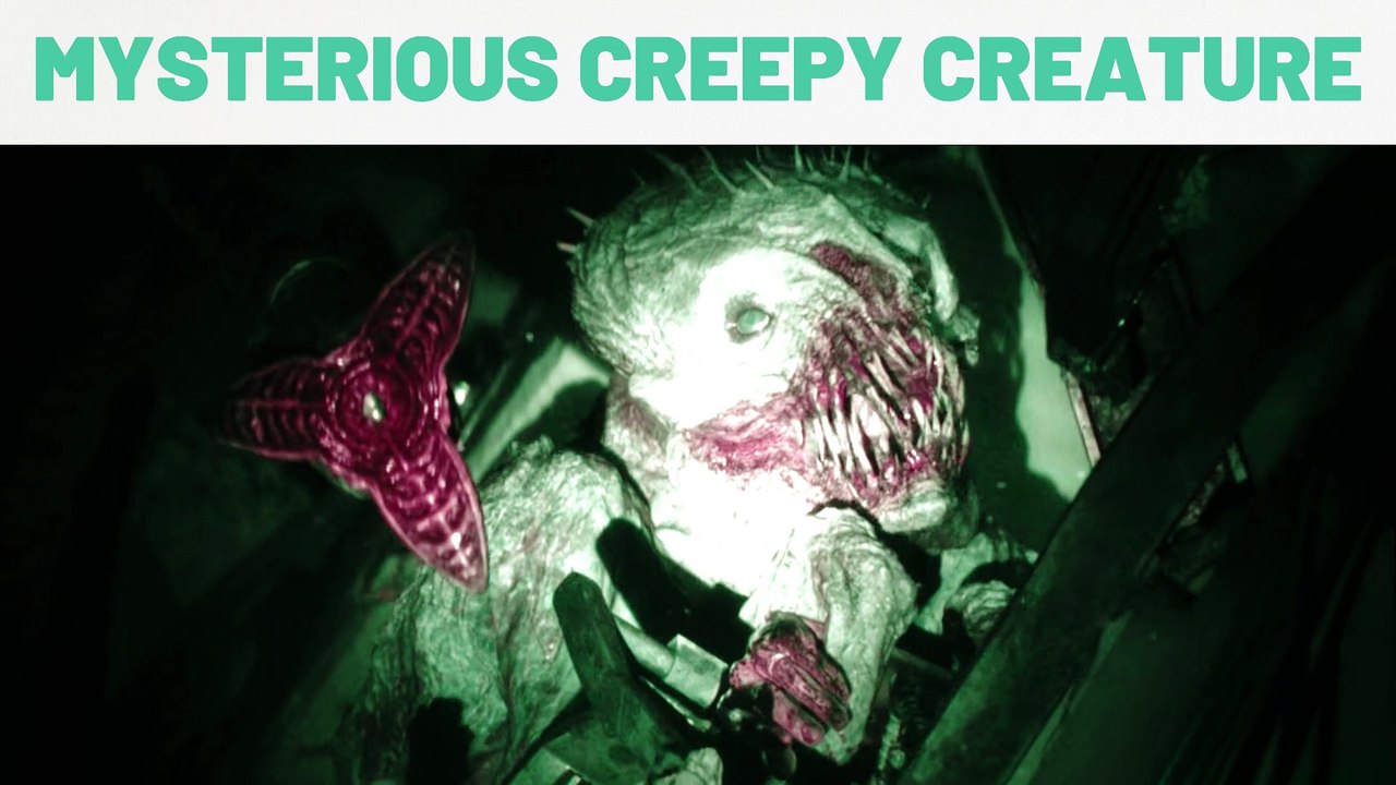 This mysterious creature will scare YOU!
