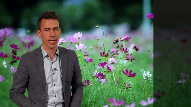 Weekend weather 18/05/23 – Warm days, cool nights – Met Office UK Weather Forecast