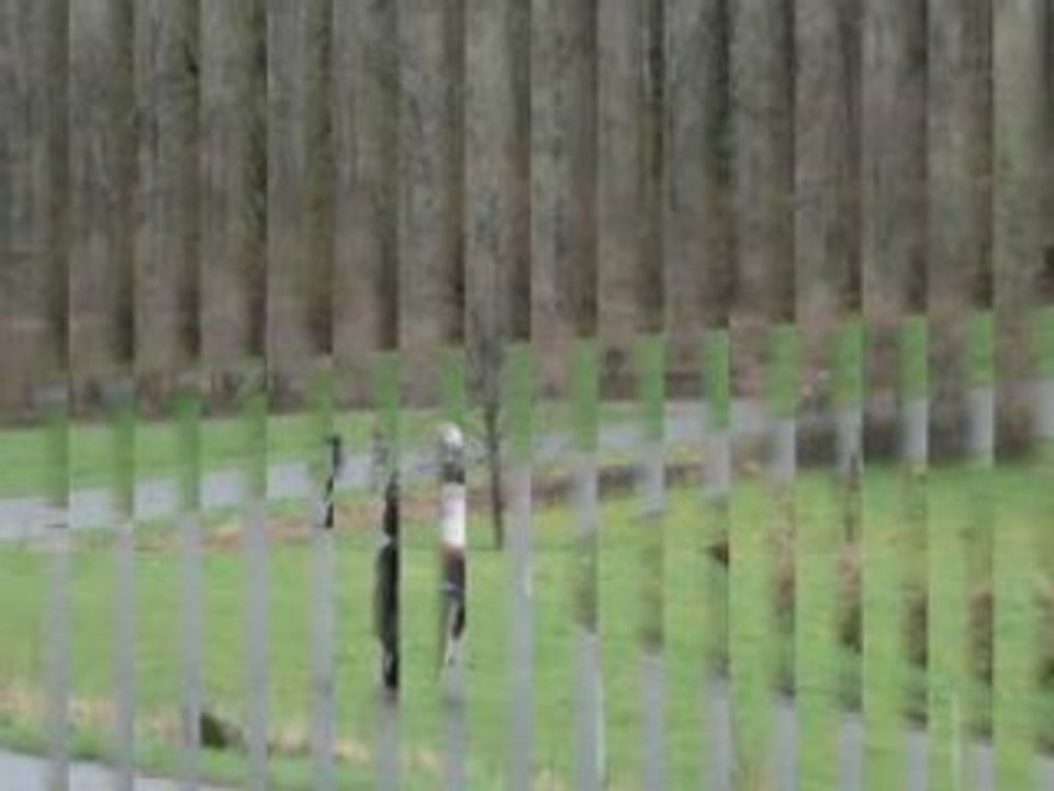 16 mars 2008    La Printanière    MC St Servais