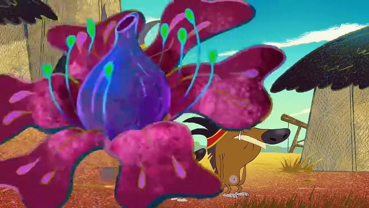 Zig & Sharko ️ GOIN’ HOME S01E49 ️ Full Episode in HD