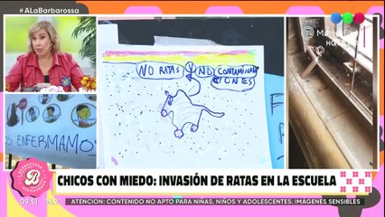 La desagradable confesión de Analía Franchín: "Hice un cementerio"