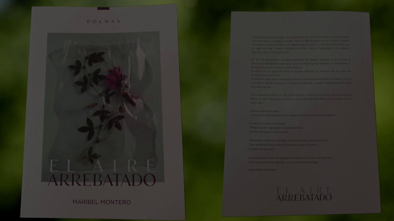 Presentación del poemario El aire arrebatado, de Maribel Montero