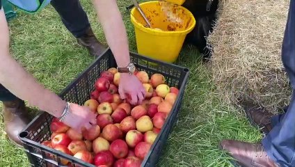 Devon County Show interview of Donna Manson and Chris Skelton
