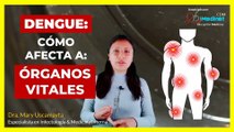 ▶ IMPACTO DEL DENGUE EN ÓRGANOS CLAVE | Dra. Mary Uscamayta ‍⚕️