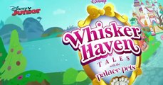Whisker Haven Tales with the Palace Pets Whisker Haven Tales with the Palace Pets E007 The Cookie Boogie