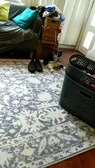 What Are You Lookin' At?