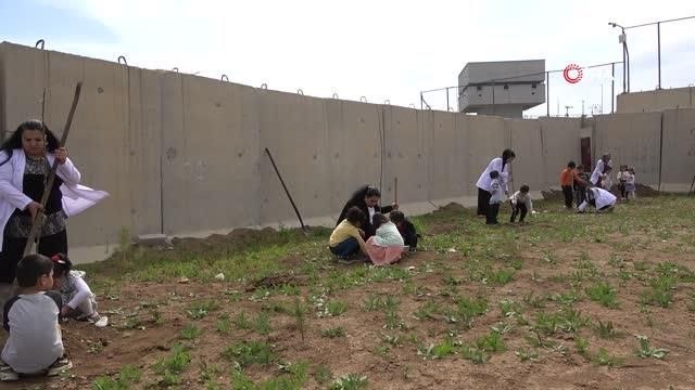 Minikler Fidan Dikti, Büyükler Halay Çekti