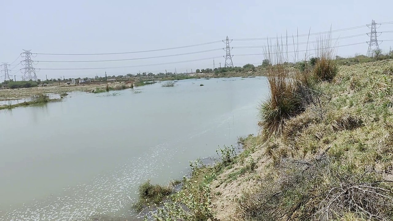 जयपुर-आखिर क्यों बहने लगी अचानक वर्षों से सूखी बांड़ी नदी, आस-पास के गांवों में चर्चा,देखें इस विडियो में क्या है माजरा