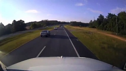 Condutor causa acidente na estrada para tentar salvar tartaruga nos EUA