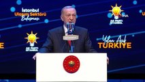 Cumhurbaşkanı Erdoğan: 'Karşımızdaki adaya kimlerin destek verdiğini, kimlerin yol verdiğini çok iyi biliyorsunuz'