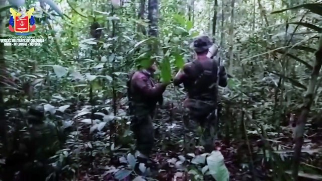 Buscas pelas crianças desaparecidas na Colômbia contam com cães farejadores e gravação da avó