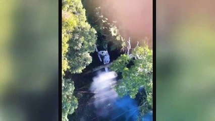 Continúa búsqueda de niños indígenas en la selva colombiana
