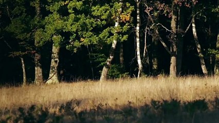 Page inicia la jornada firmando pacto por caza y cierra en Ciudad Real con Barreda