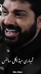 علامہ آصف رضا علوی ❣️