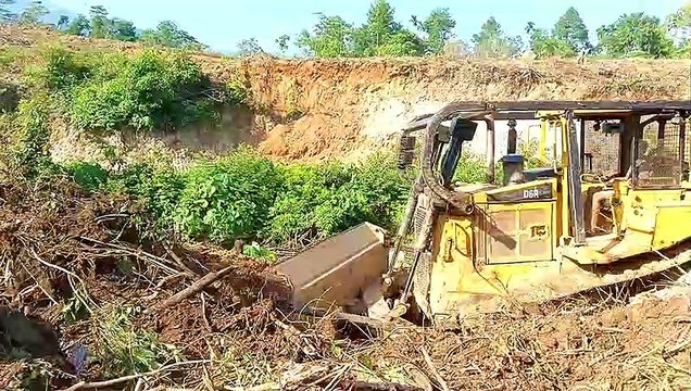 When the D6R XL Bulldozer Working in an Oil Palm Plantation Suddenly Smoke Comes Out