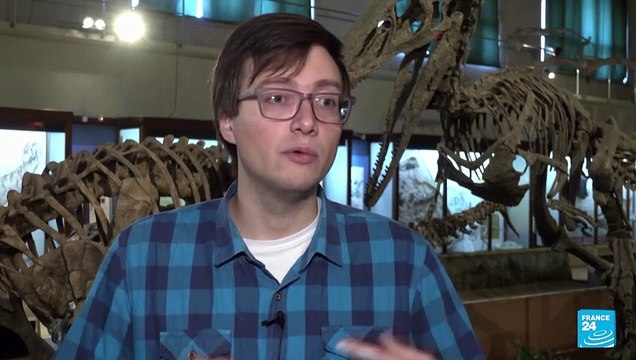 Descubren fósiles de especie gigantesca de dinosaurio en la Patagonia argentina