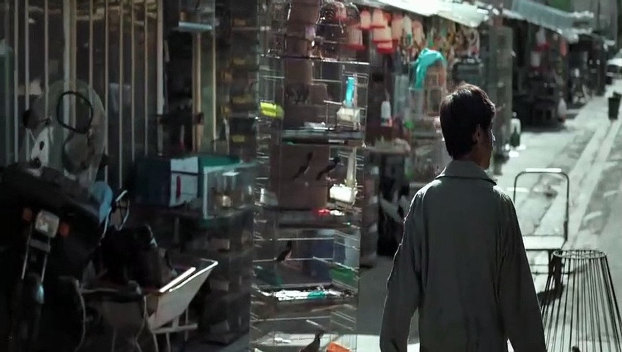 The Dogs Didn't Sleep Last Night | movie | 2020 | Official Trailer