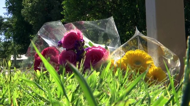 Young mother allegedly stabbed to death in front of her Caboolture home