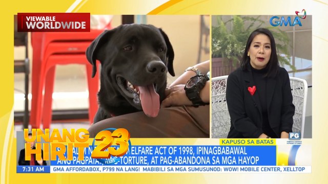 Kapuso sa Batas- Usapan tungkol sa proteksyon ng mga alagang aso | Unang Hirit