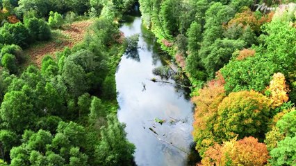 Clarity Chants - Mindfulness Music for Mental Focus