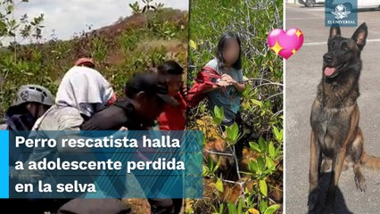 Adolescente extraviada sobrevive una semana en selva; perro rescatista fue quien la halló