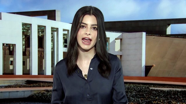 Senate Committee recommends urgent bill on Nazi symbols