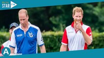 William et Harry fâchés à jamais ? “Ils n’entretiennent pas la même mémoire”