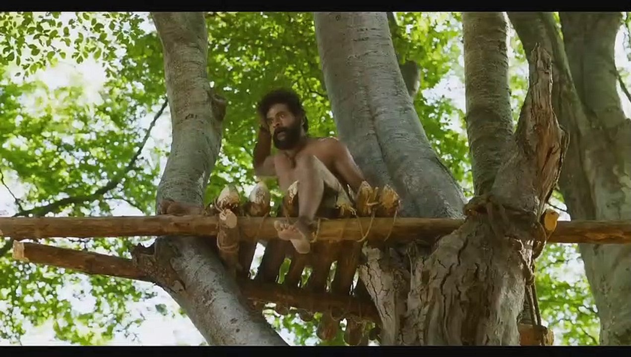 Tiger fight, Movie Clip