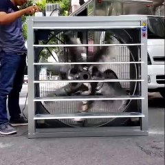 Review Quạt hút gắn tường công nghiệp | Chuyên sử dụng nhà xưởng đáng mua