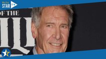Festival de Cannes 2023 : l'acteur Harrison Ford reçoit une Palme d'or d'honneur surprise