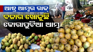 Andhra mangoes dominate Koraput market