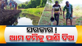 Farmers allege poor irrigation system in Odisha’s Mohana