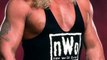 Kevin Nash Net Worth 2023 | WWE Kevin Nash | Information Hub