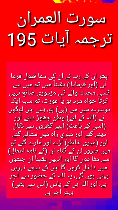Ayat 195 surah al imran Quran with urdu translate Islamic vidio Islamic status Quran Holy quran. Al quran